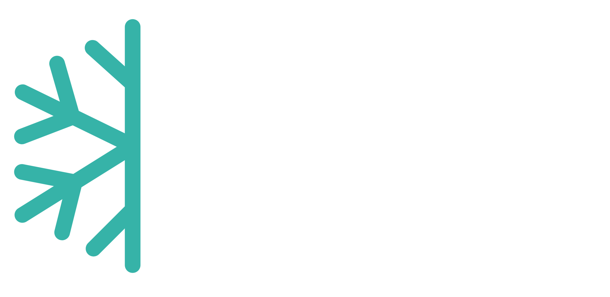Lumi Experiences