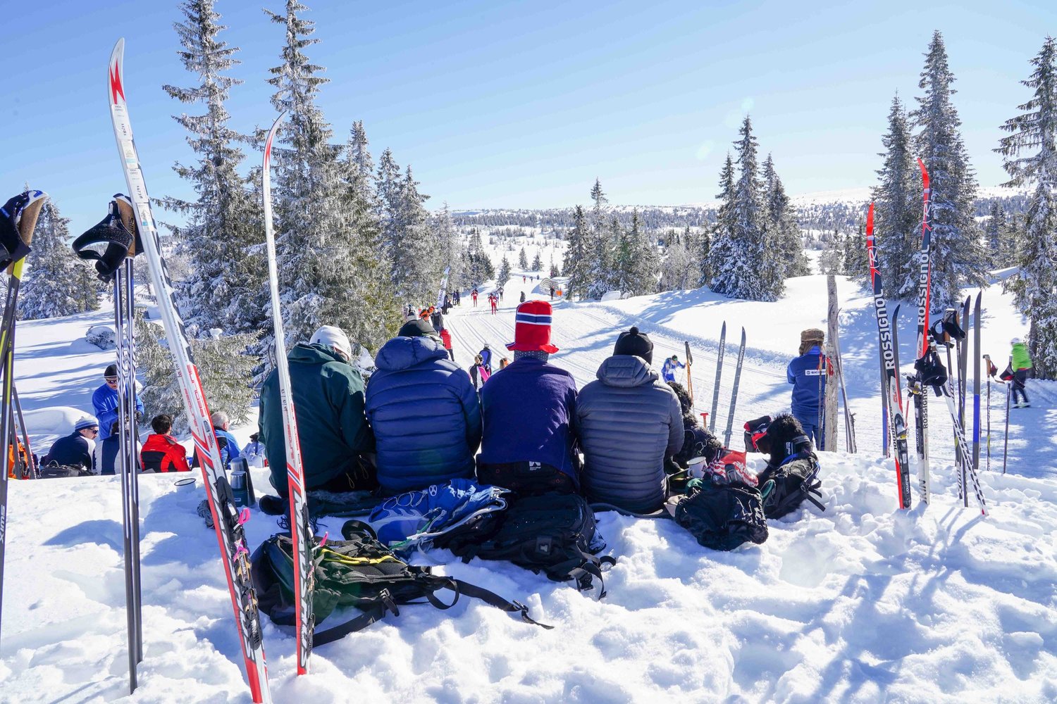 Lumi guests beside a snowy Norwegian ski trail during the Birken trip
