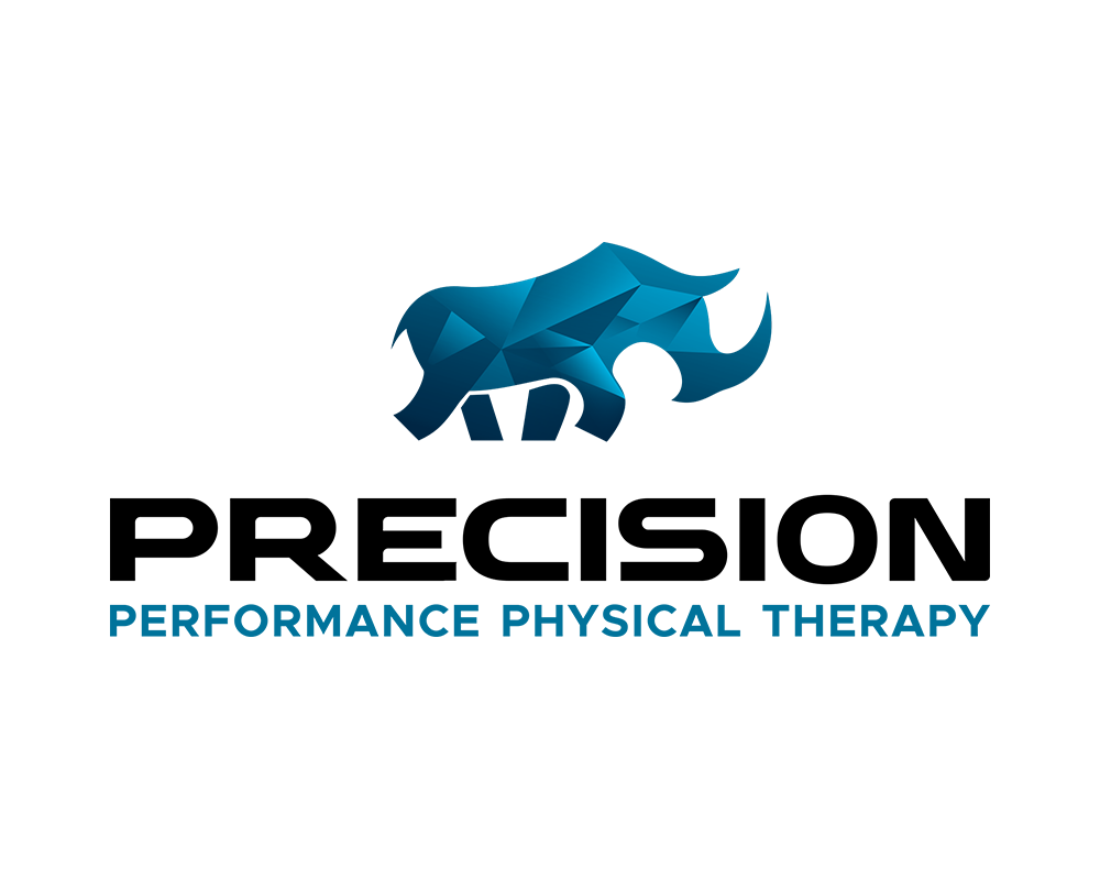 Precision Performance Physical Therapy logo